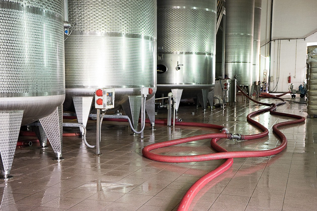 The Wines of Stobi – Macedonia For 91 Days